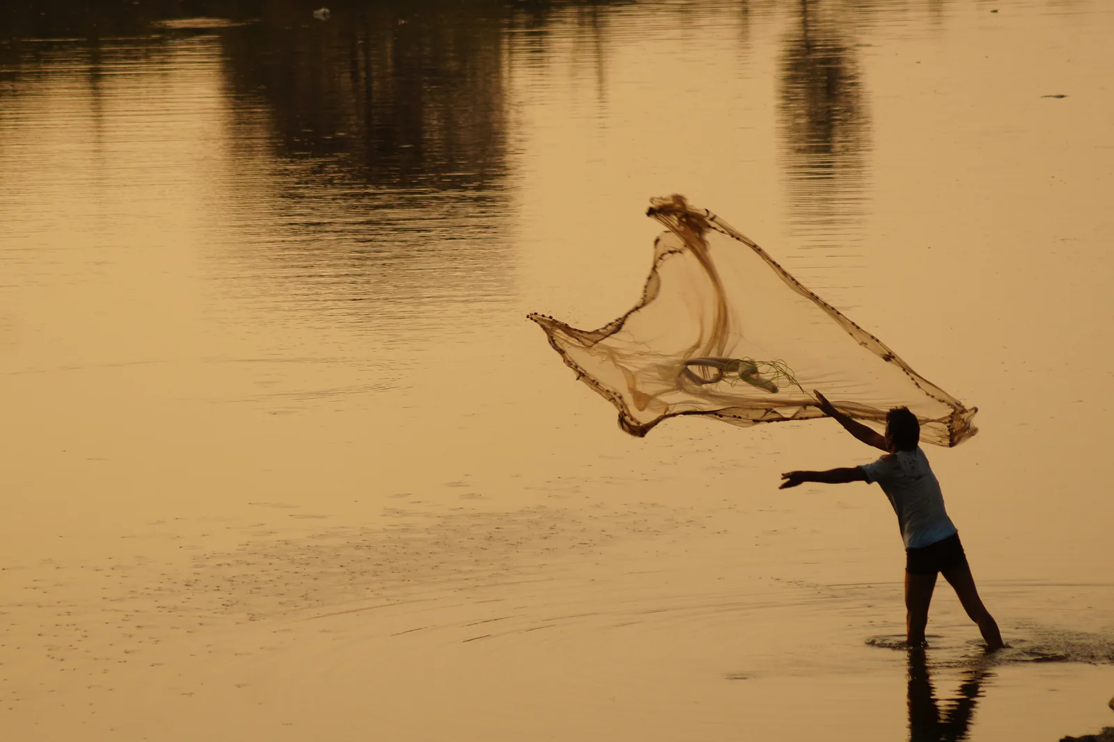 A fisherman casting a wide net across calm sunset-lit water: catching everything in one sweep instead of one fish at a time.